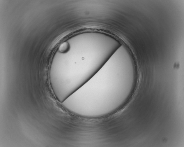 X0000112780829200908201412