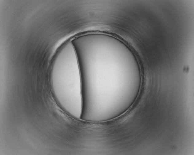 X0000112780830200908201412