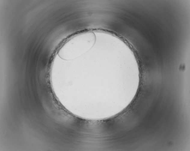 X0000112780832200908201412