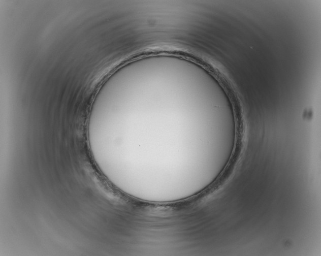 X0000112780833200908201412