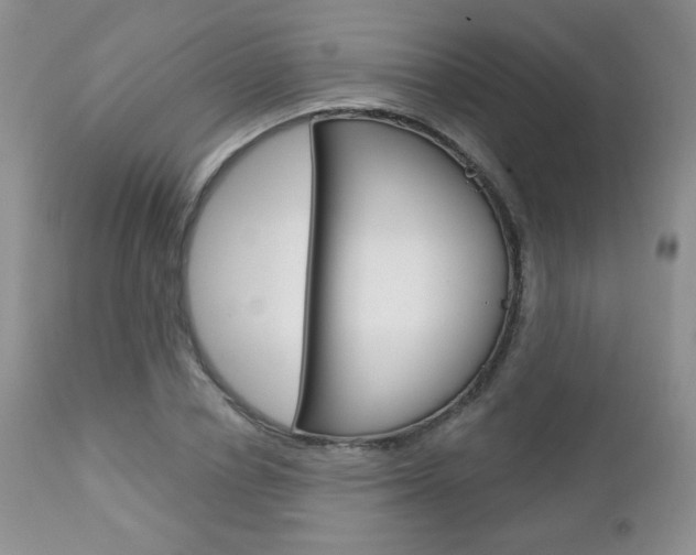 X0000112780834200908201412