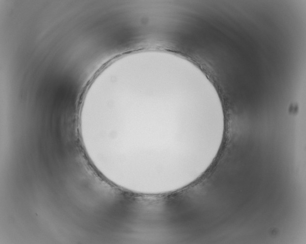 X0000112780836200908201412