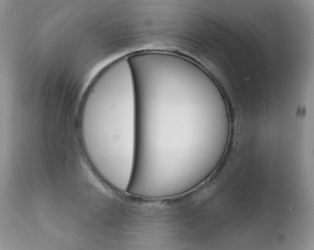 X0000112780838200908201412