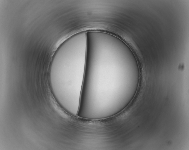 X0000112780842200908201412