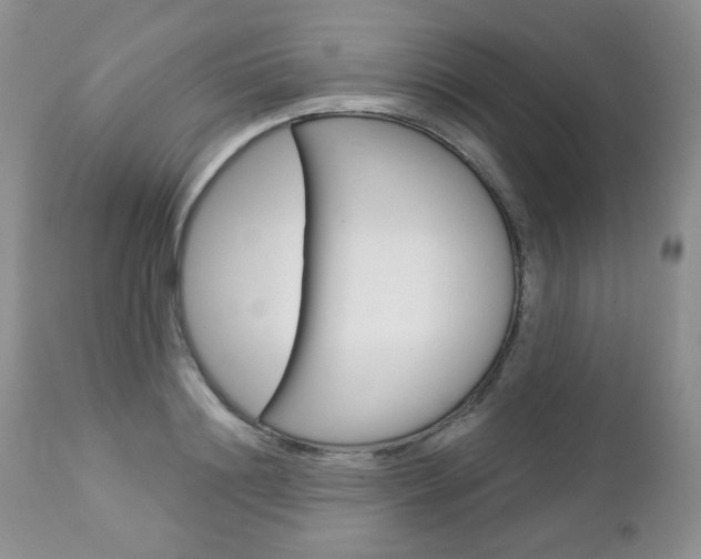X0000112780844200908201412