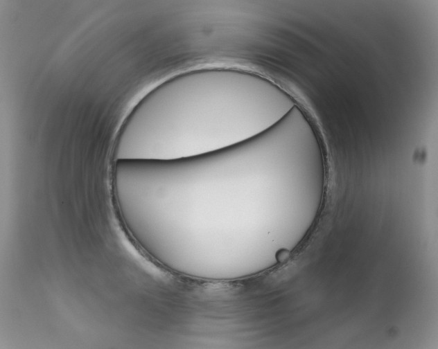 X0000112780847200908201412