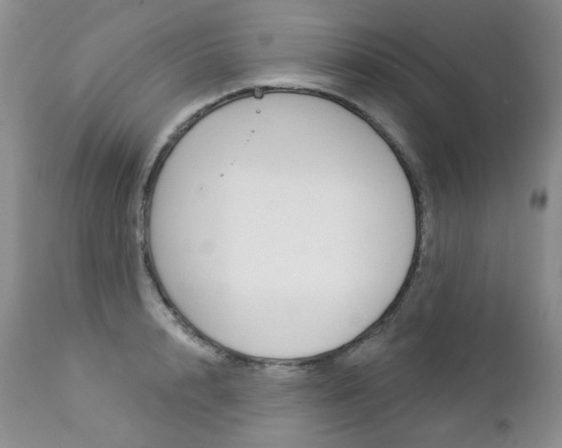 X0000112780848200908201412