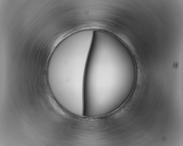 X0000112780850200908201412