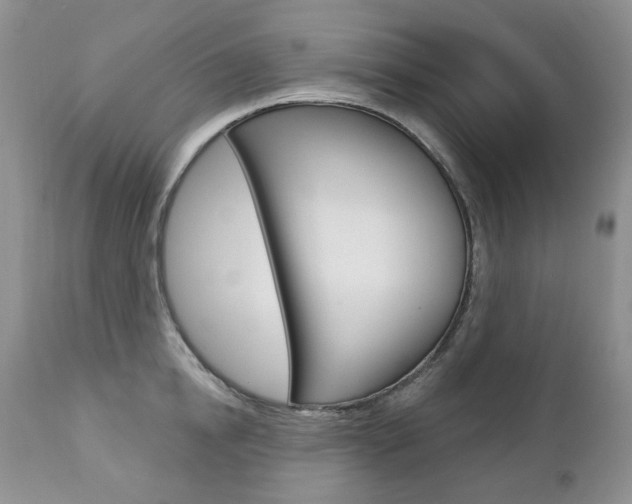 X0000112780854200908201412