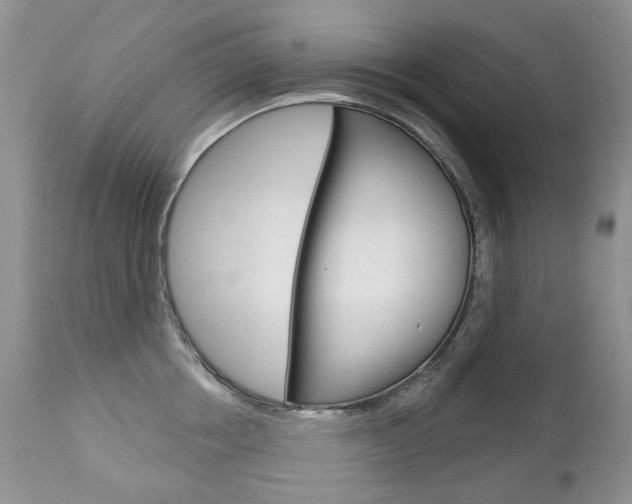 X0000112780858200908201412