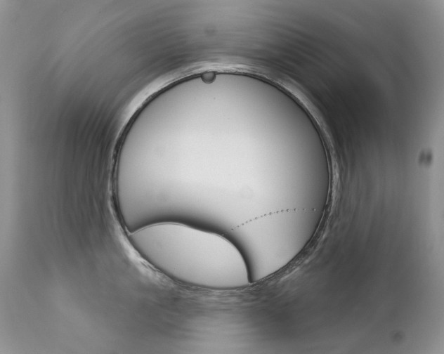 X0000112780861200908201412
