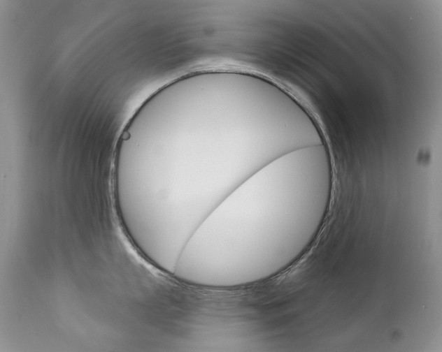 X0000112780863200908201412