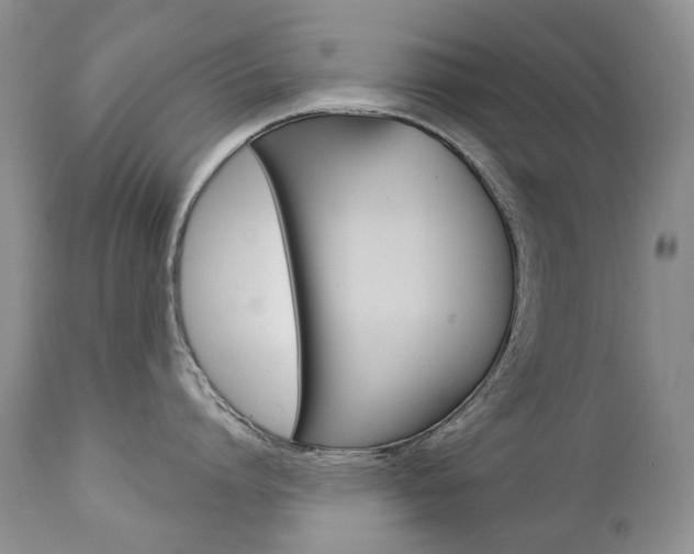 X0000112780864200908201412