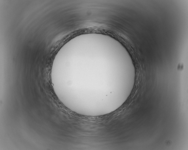 X0000112780869200908201411
