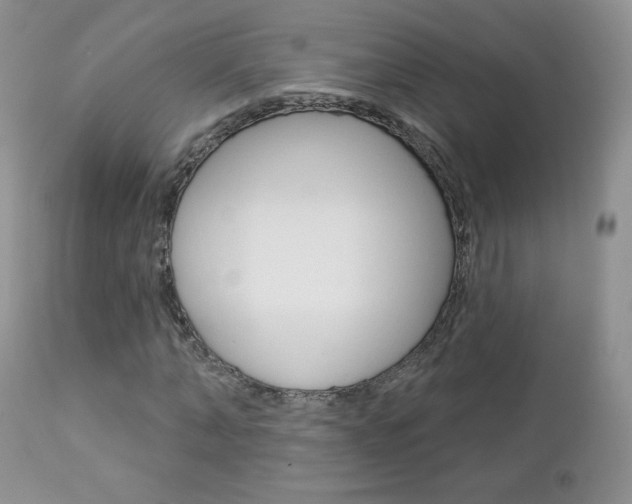 X0000112780870200908201411