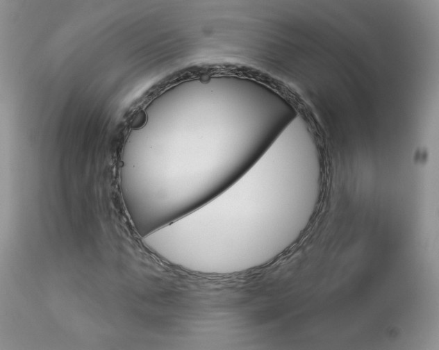 X0000112780871200908201411