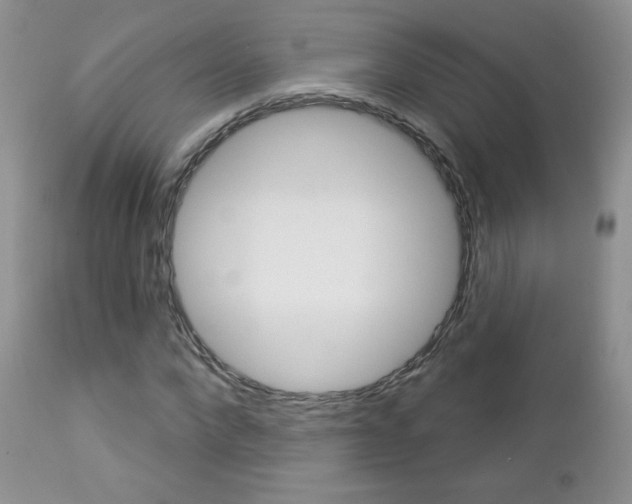X0000112780872200908201411