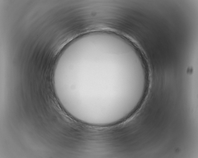X0000112780873200908201411