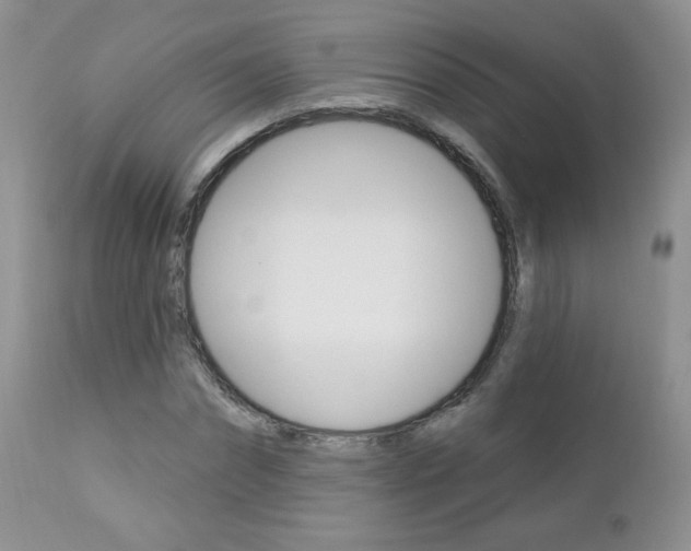X0000112780874200908201411