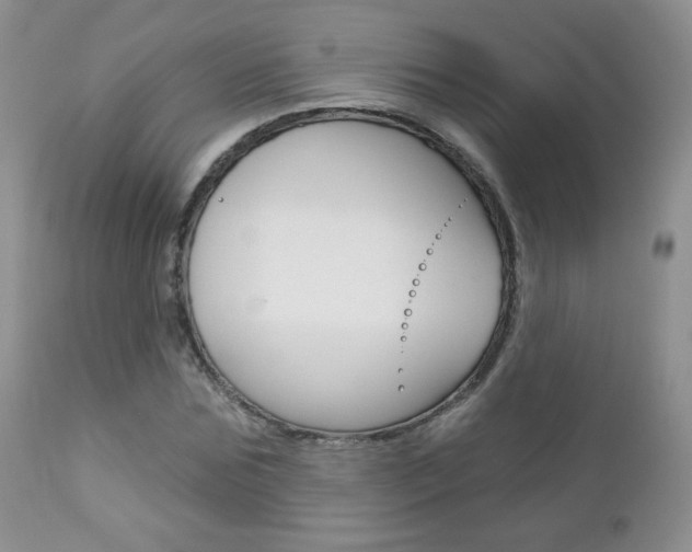 X0000112780875200908201411