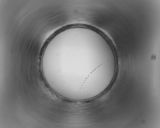 X0000112780879200908201411