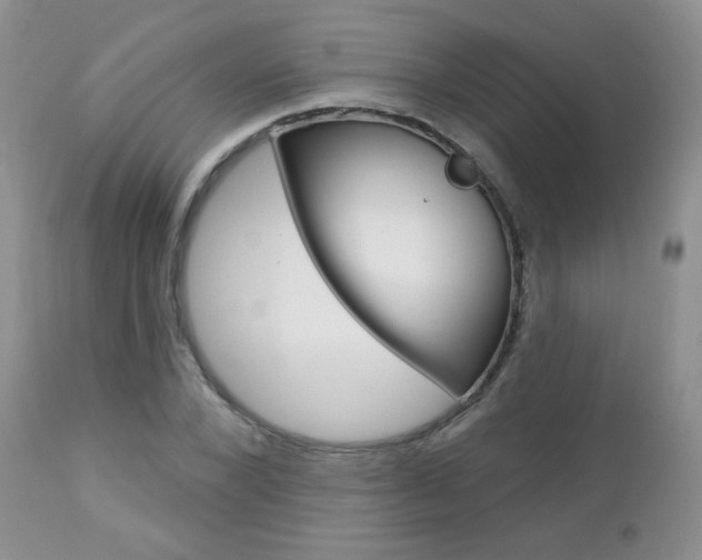 X0000112780880200908201411