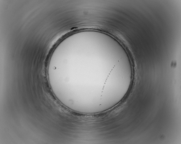 X0000112780883200908201411