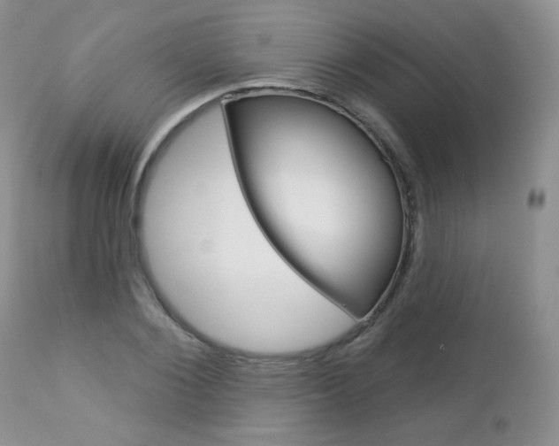 X0000112780884200908201411