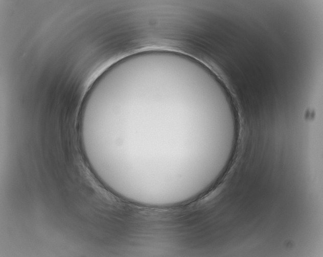 X0000112780885200908201411