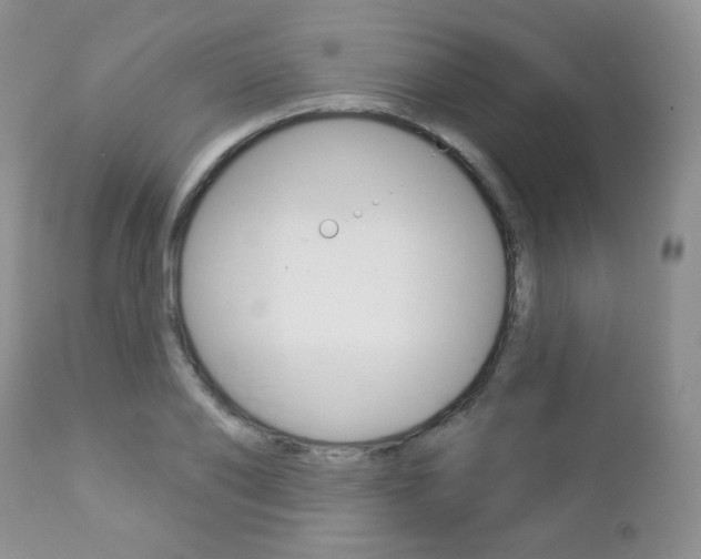 X0000112780886200908201411