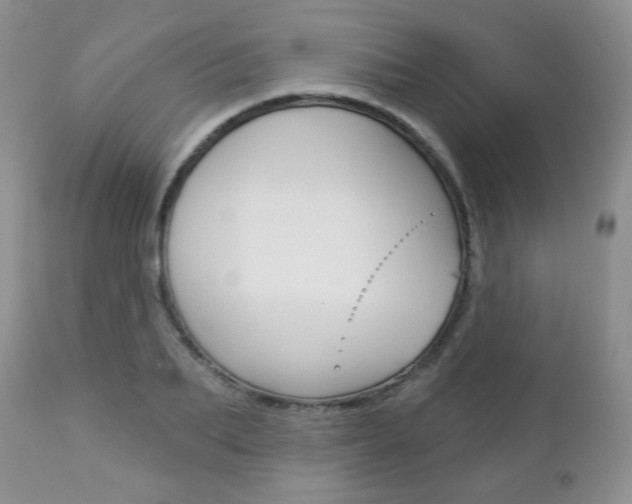 X0000112780887200908201411