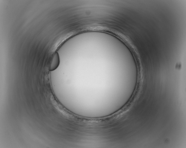 X0000112780889200908201411