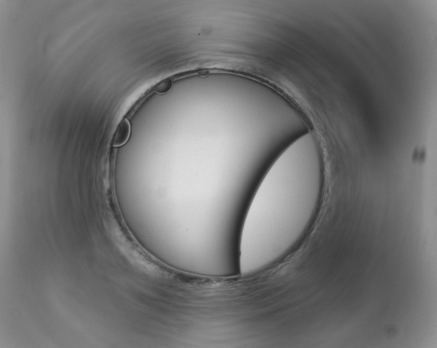 X0000112780891200908201411