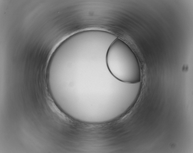 X0000112780892200908201411