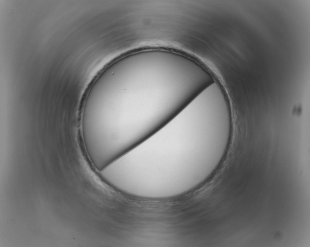 X0000112780895200908201411