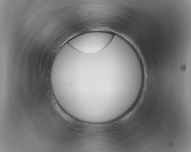 X0000112780897200908201411