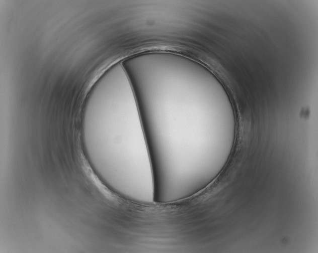 X0000112780898200908201411