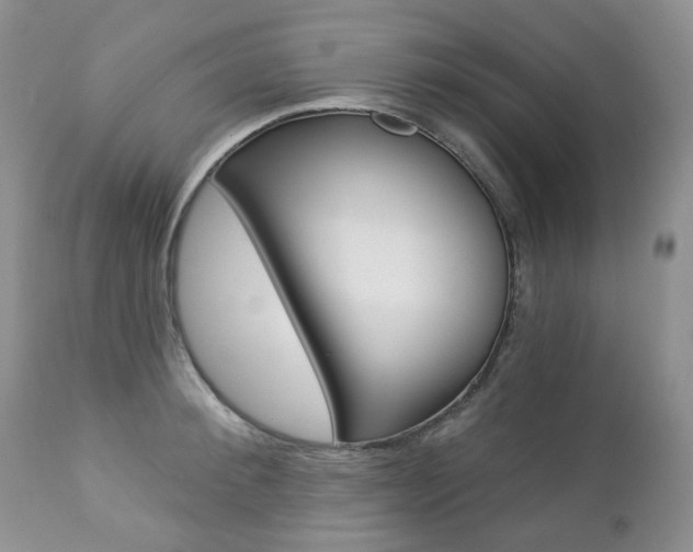 X0000112780900200908201411