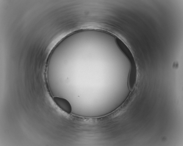 X0000112780901200908201411