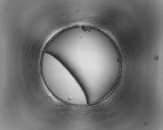 X0000112780902200908201411
