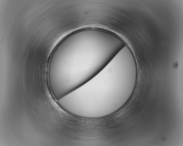 X0000112780903200908201411