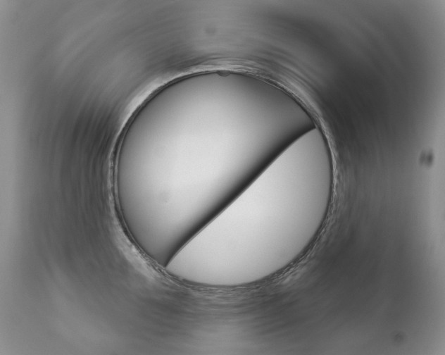 X0000112780907200908201411
