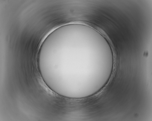 X0000112780908200908201411