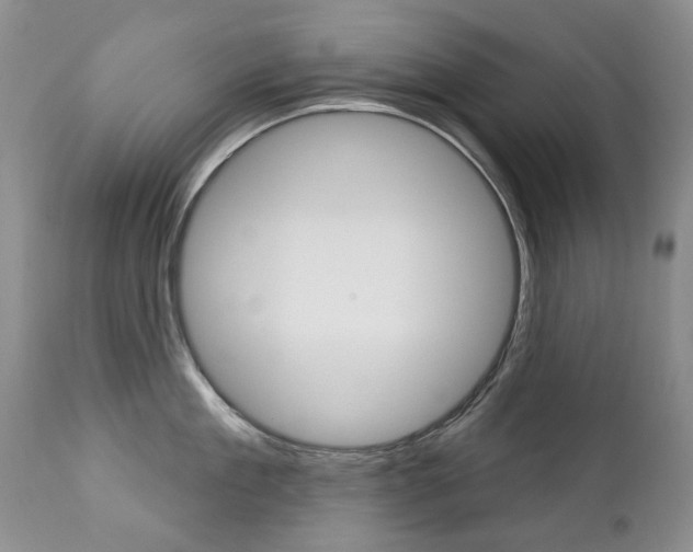 X0000112780909200908201411