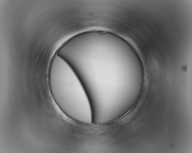 X0000112780910200908201411