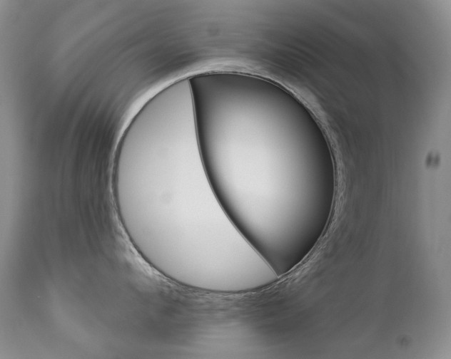 X0000112780912200908201411