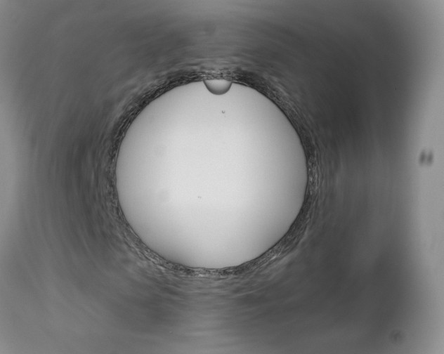 X0000112780913200908201410
