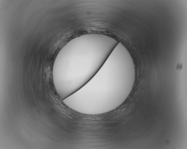 X0000112780915200908201410