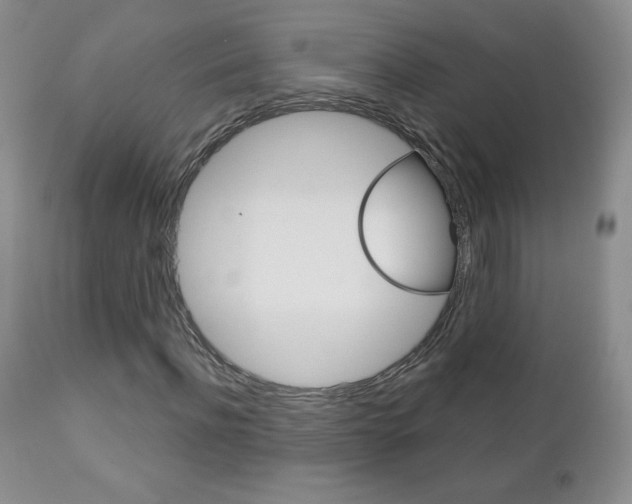 X0000112780916200908201410