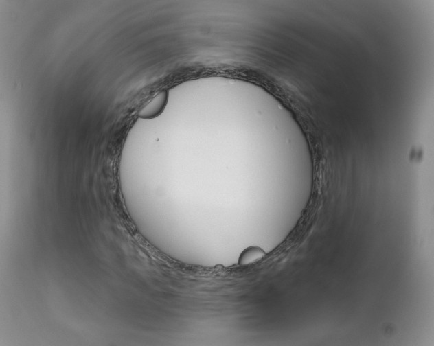 X0000112780917200908201410